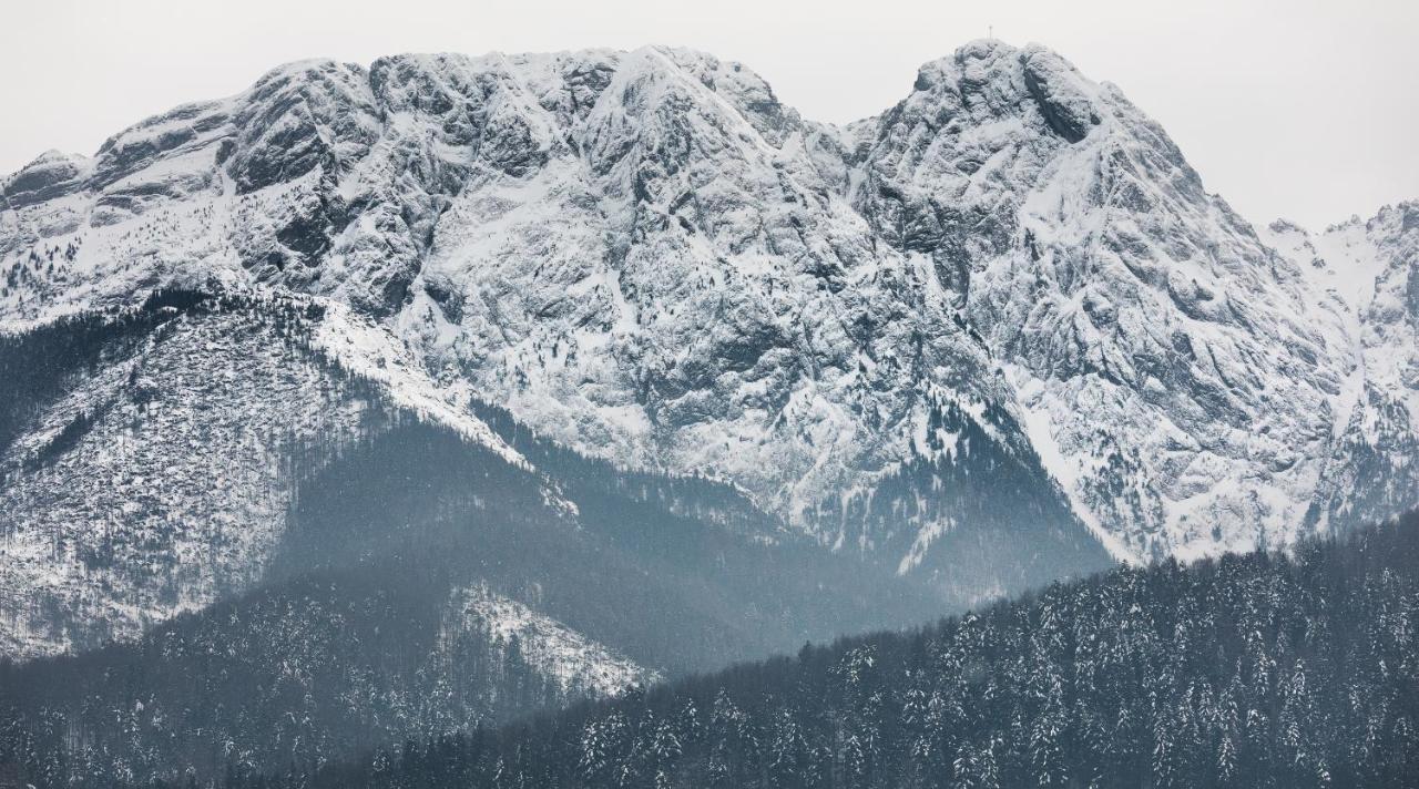 Szymaszkowa 3 By Homeprime Zakopane Luaran gambar